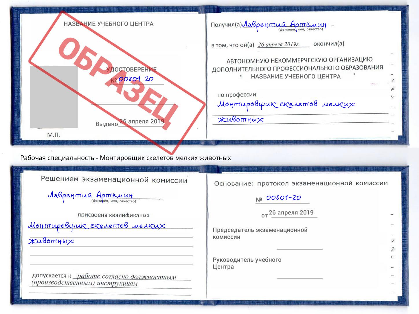 Монтировщик скелетов мелких животных Энгельс