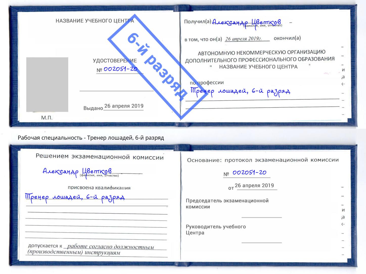 корочка 6-й разряд Тренер лошадей Энгельс