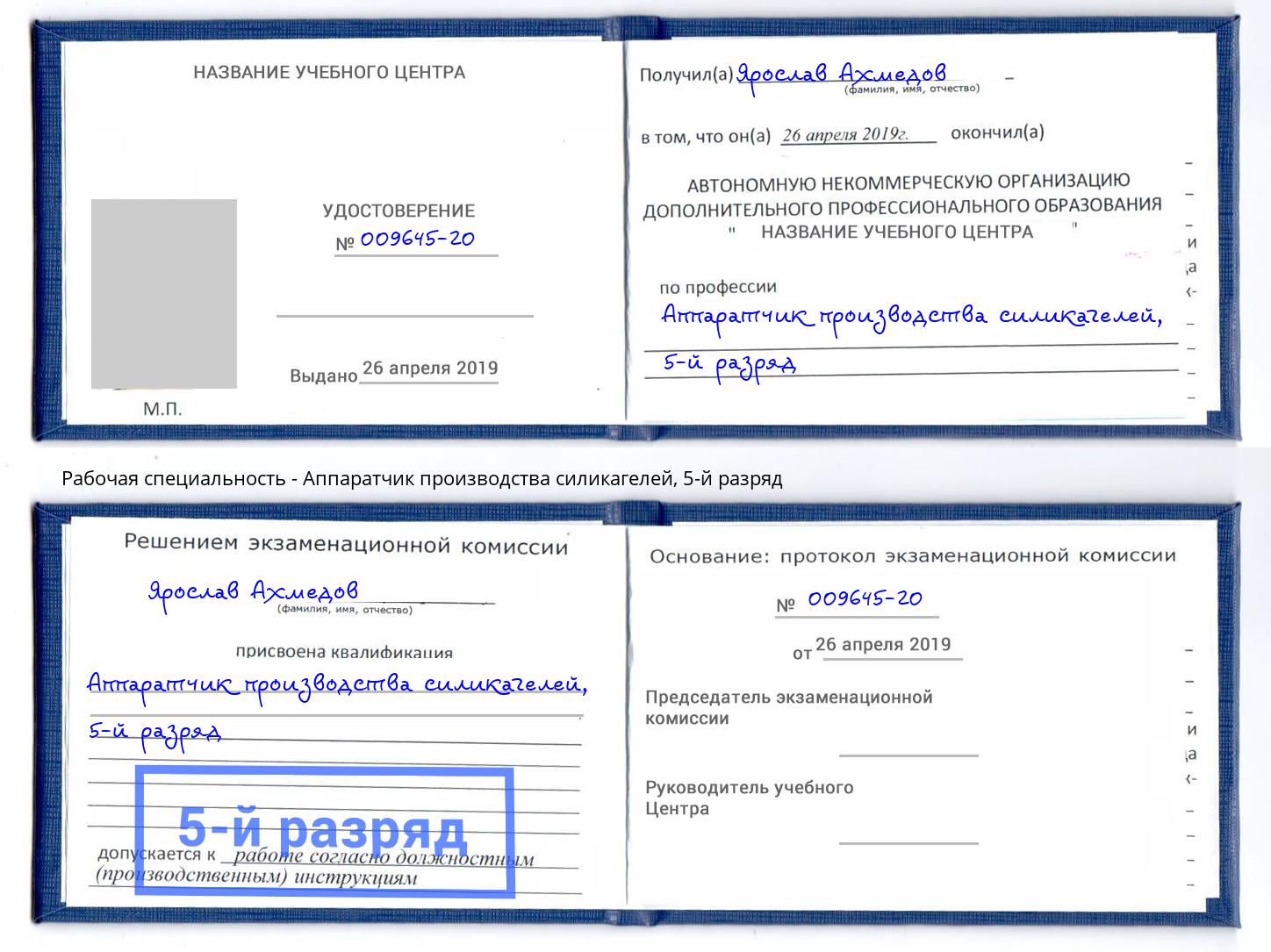 корочка 5-й разряд Аппаратчик производства силикагелей Энгельс