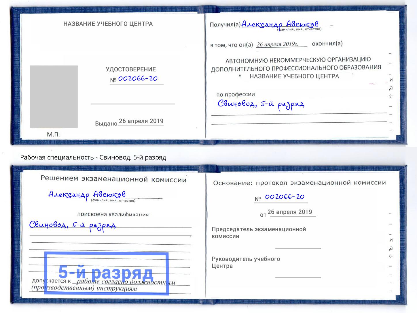 корочка 5-й разряд Свиновод Энгельс